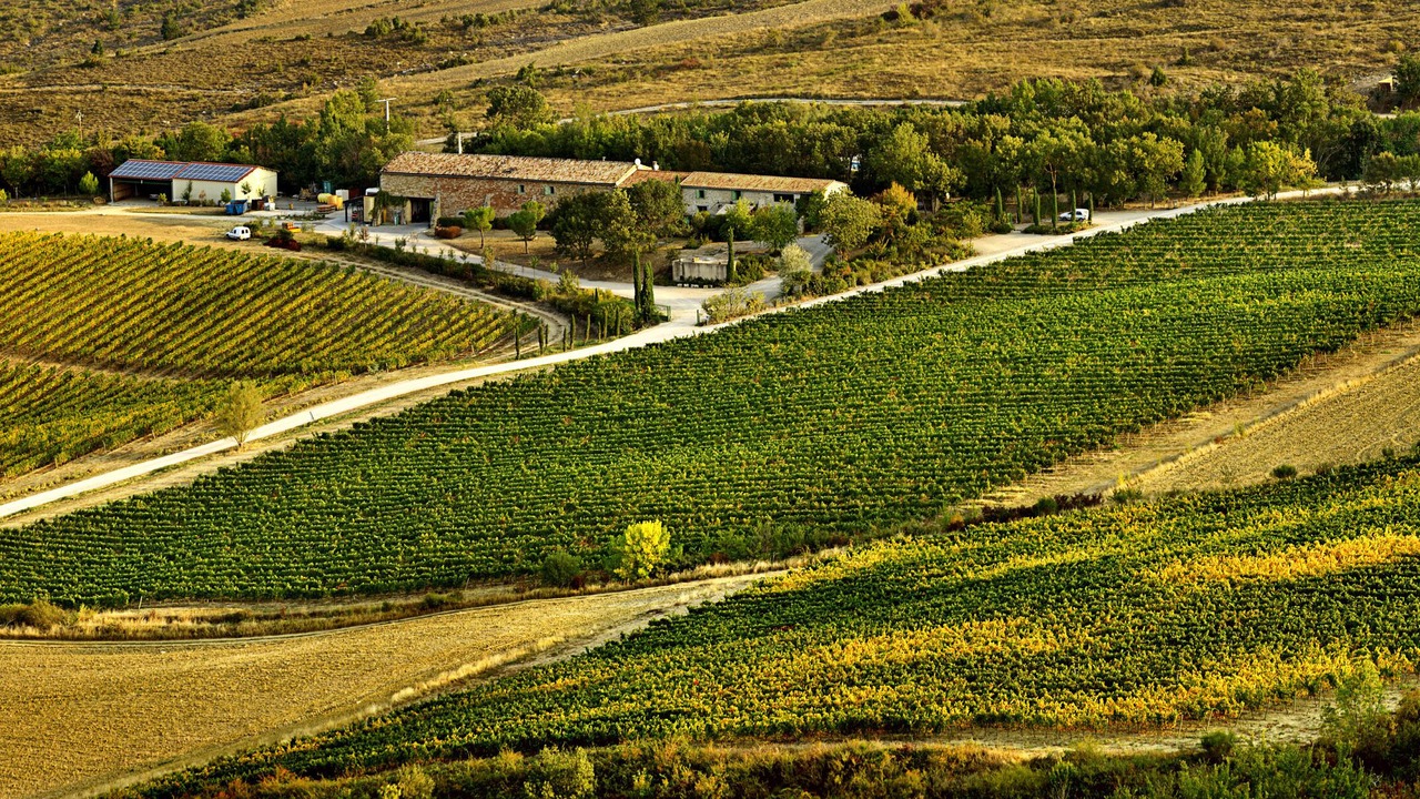 Photo of Outdoor in Roquetaillade