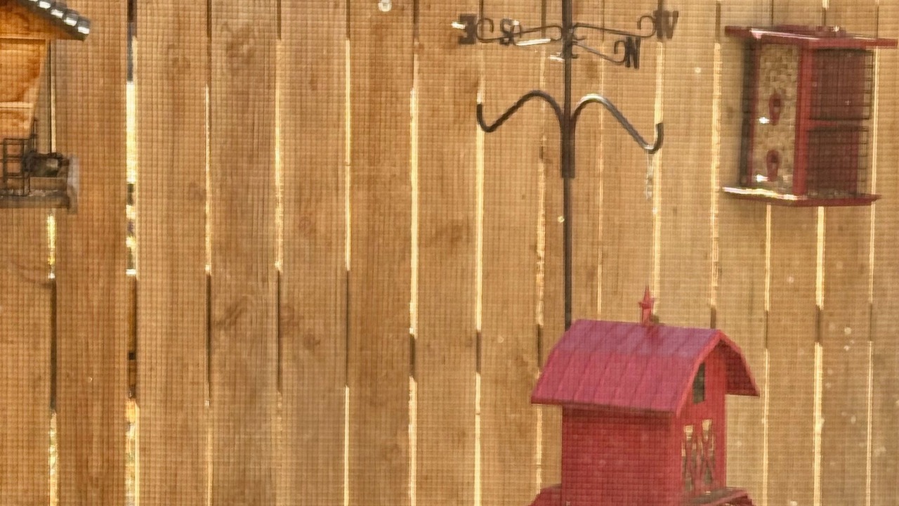 Photo of Others in Taos