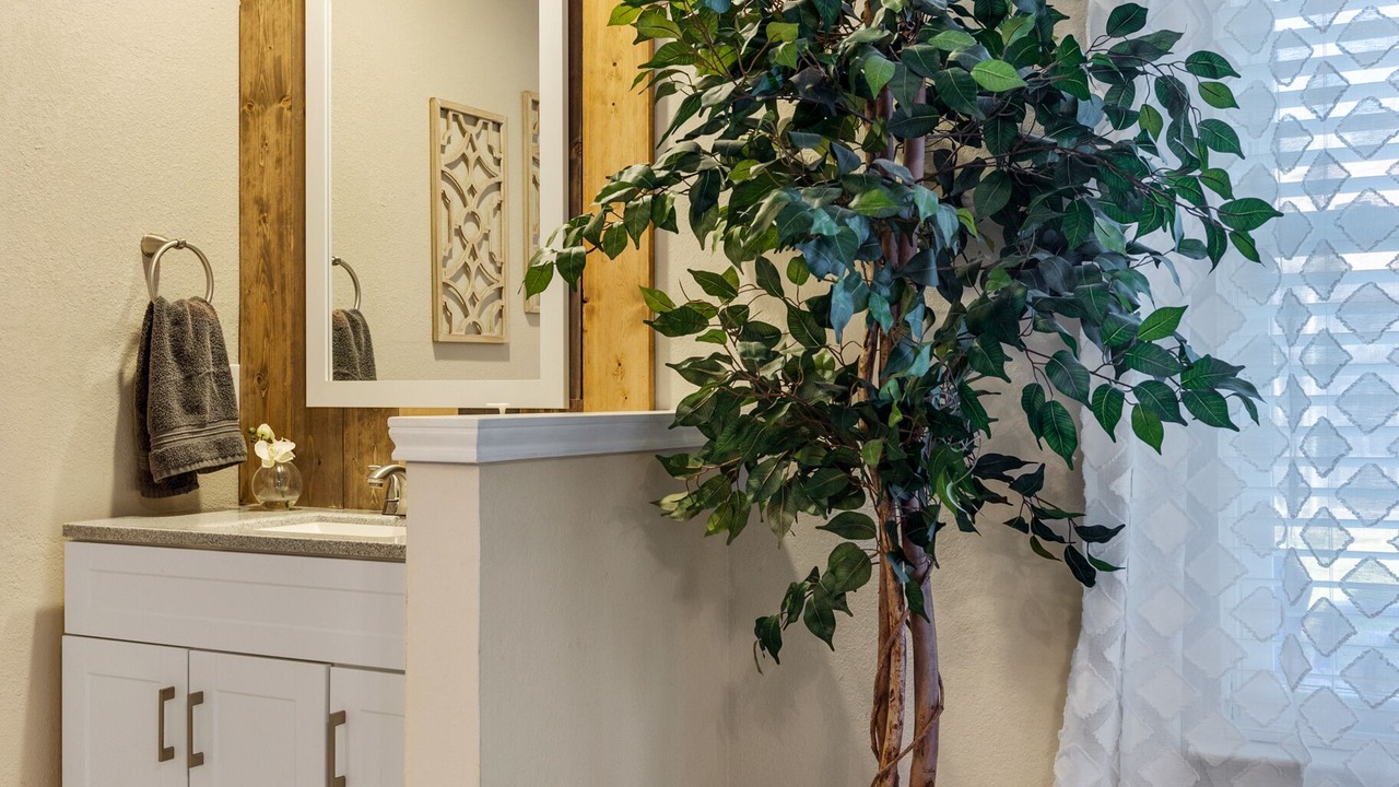 Photo of Bathroom in Euless
