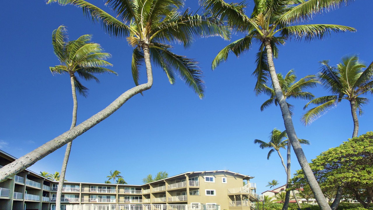 Photo of Outdoor in Wailua