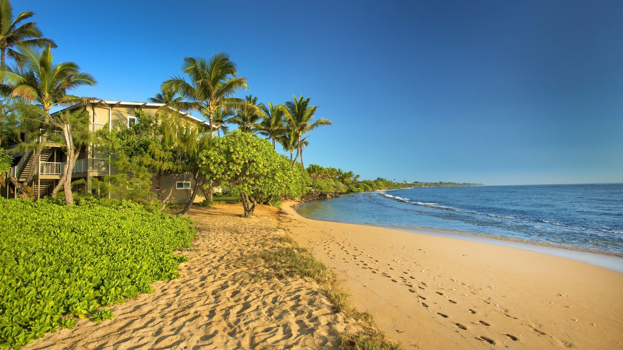 Photo of Others in Wailua