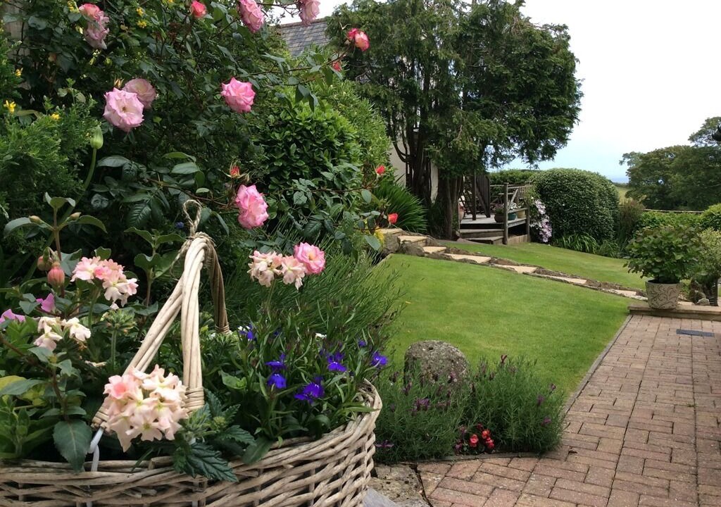 Photo of Outdoor in Strete