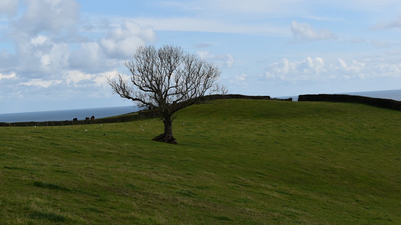 Photo of Outdoor in Strete