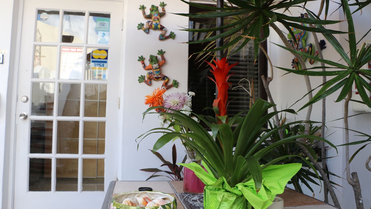 Photo of Outdoor in Lauderdale-by-the-Sea