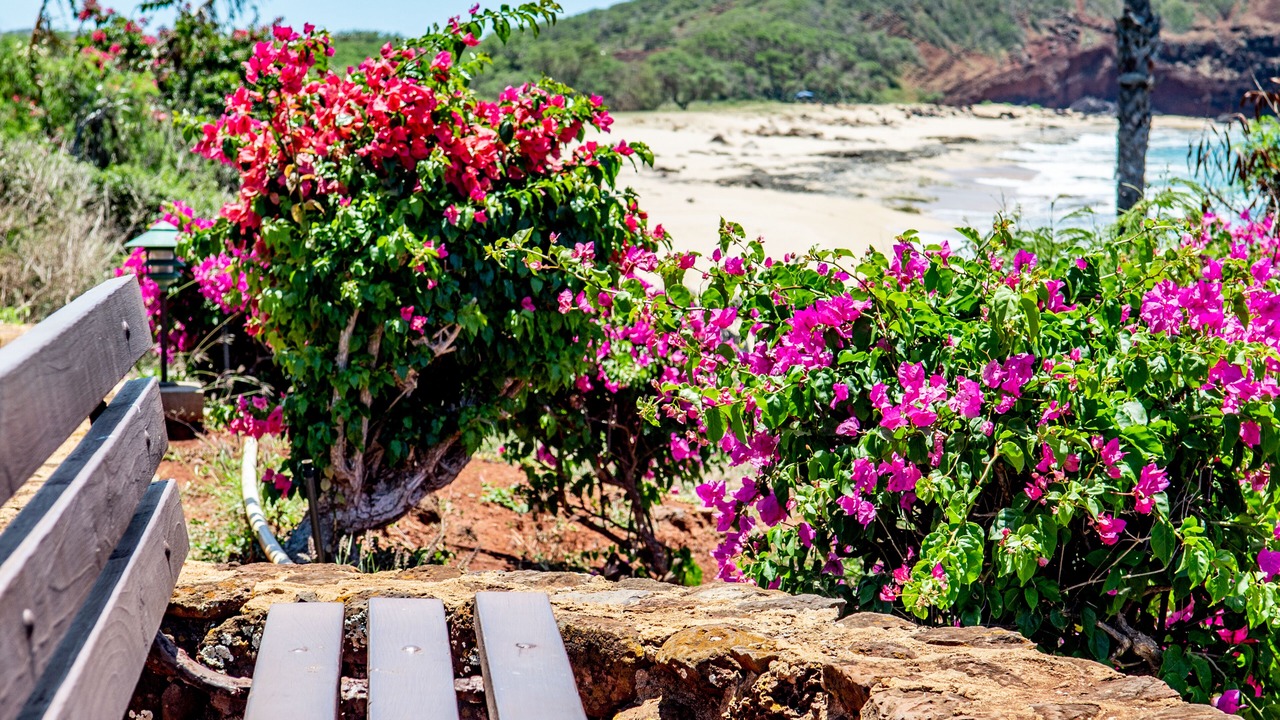 Photo of Outdoor in Maunaloa