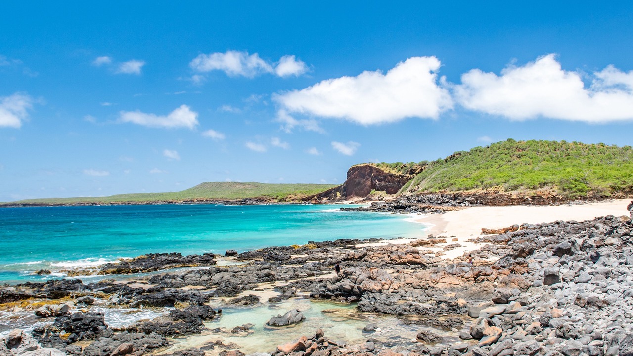 Photo of Others in Maunaloa