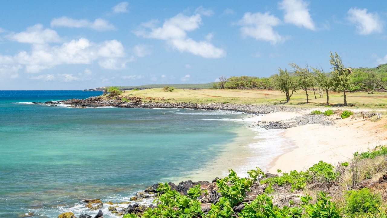 Photo of Others in Maunaloa