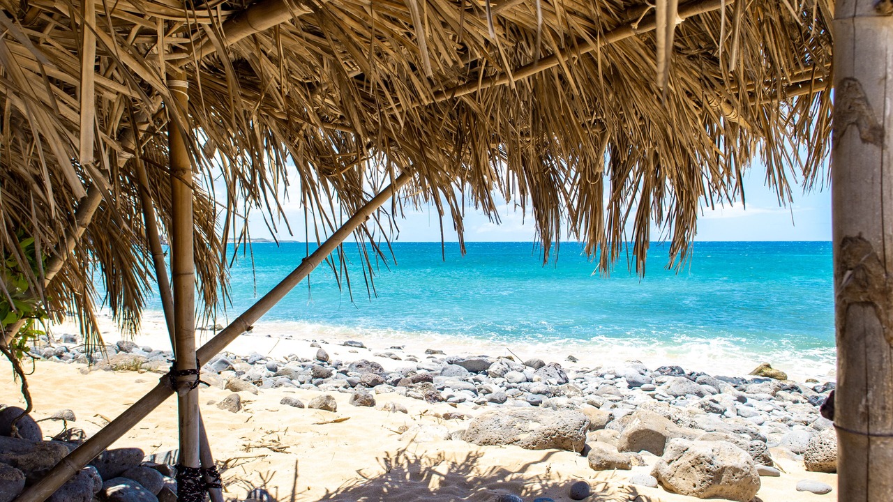 Photo of Others in Maunaloa