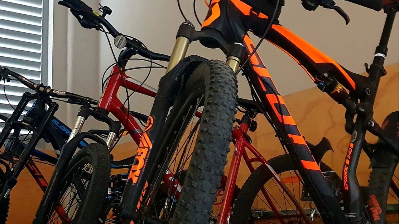 Photo of Outdoor in Rotorua