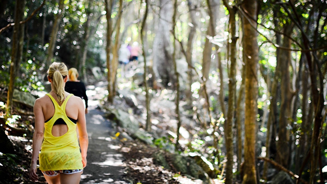 Photo of Outdoor in Burleigh Heads