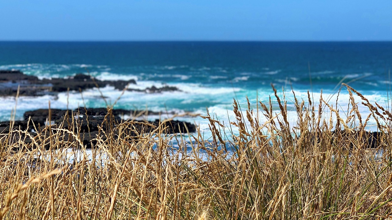 Photo of Outdoor in Flinders