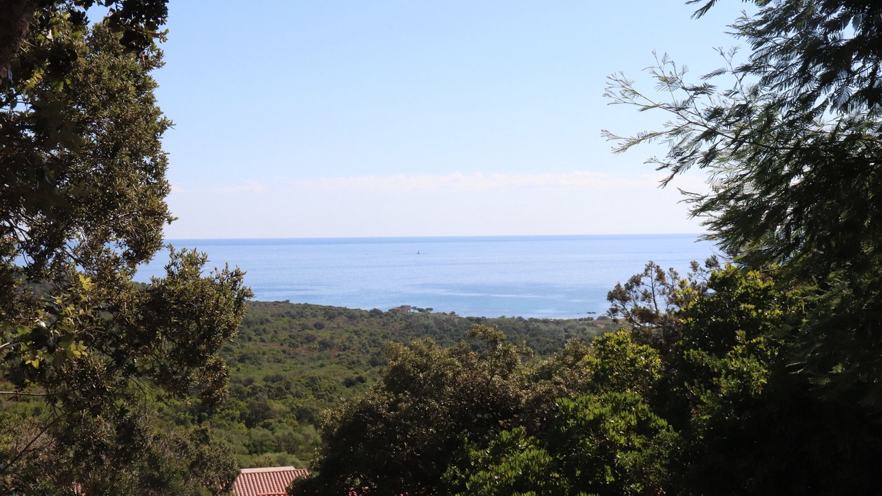 Photo of Patio Balcony in Porto-Vecchio