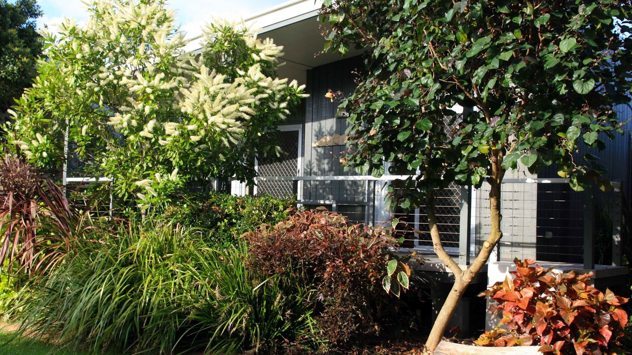 Photo of Patio Balcony in Fingal Bay
