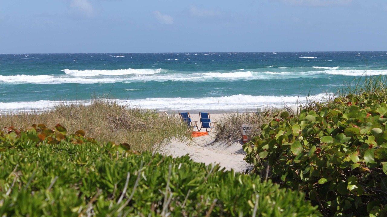 Photo of Others in Delray Beach