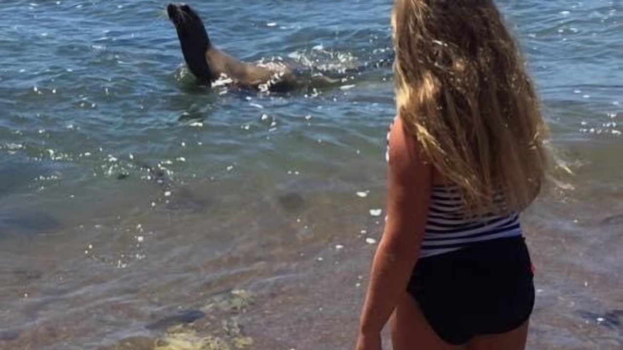 Photo of Others in Shell Beach