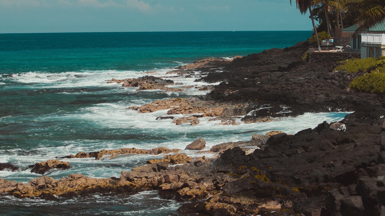 Photo of Others in Kahaluu Bay