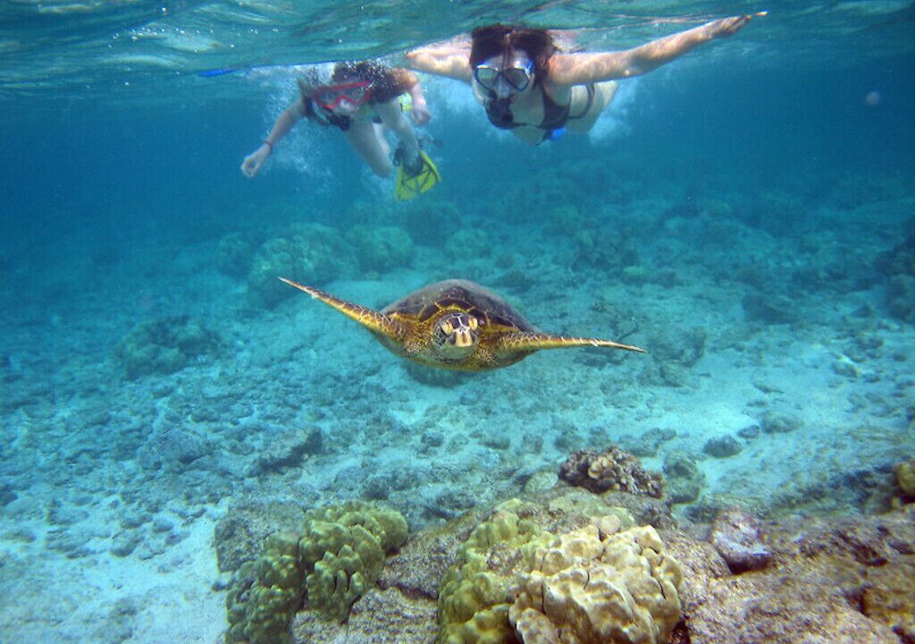 Photo of Others in Kahaluu Bay