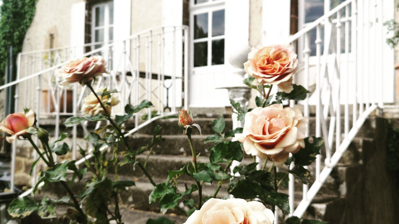 Photo of Outdoor in Chaillac