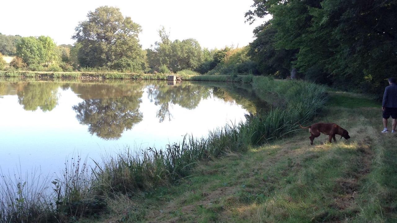 Photo of Outdoor in Chaillac