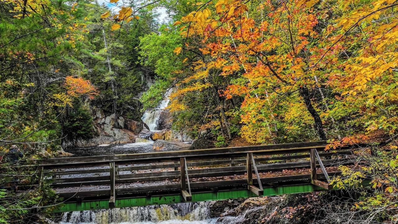 Photo of Others in Oquossoc