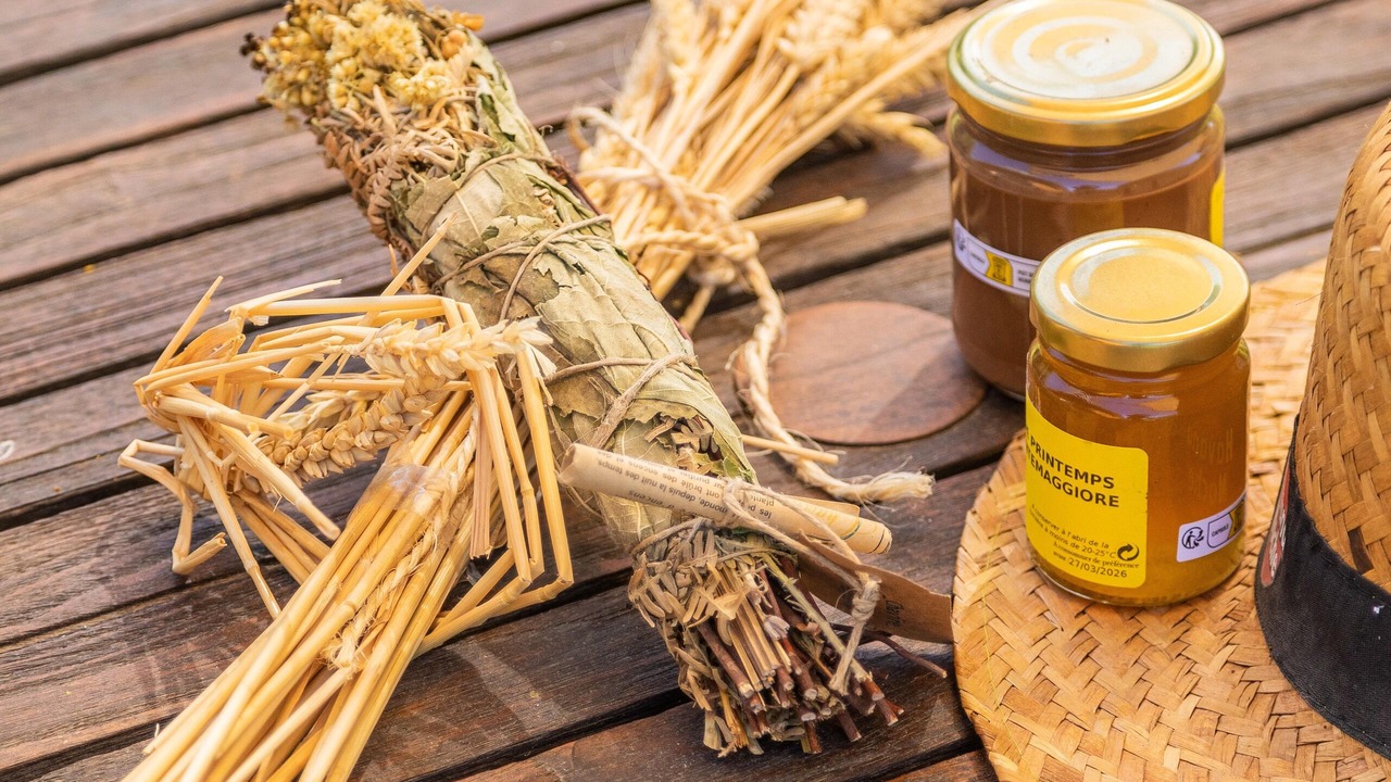 Photo of Others in Montegrosso