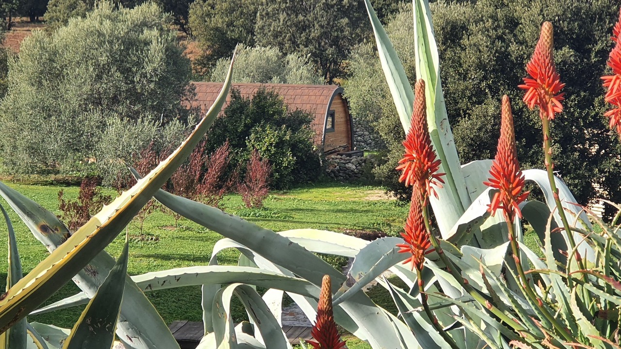 Photo of Outdoor in Montegrosso