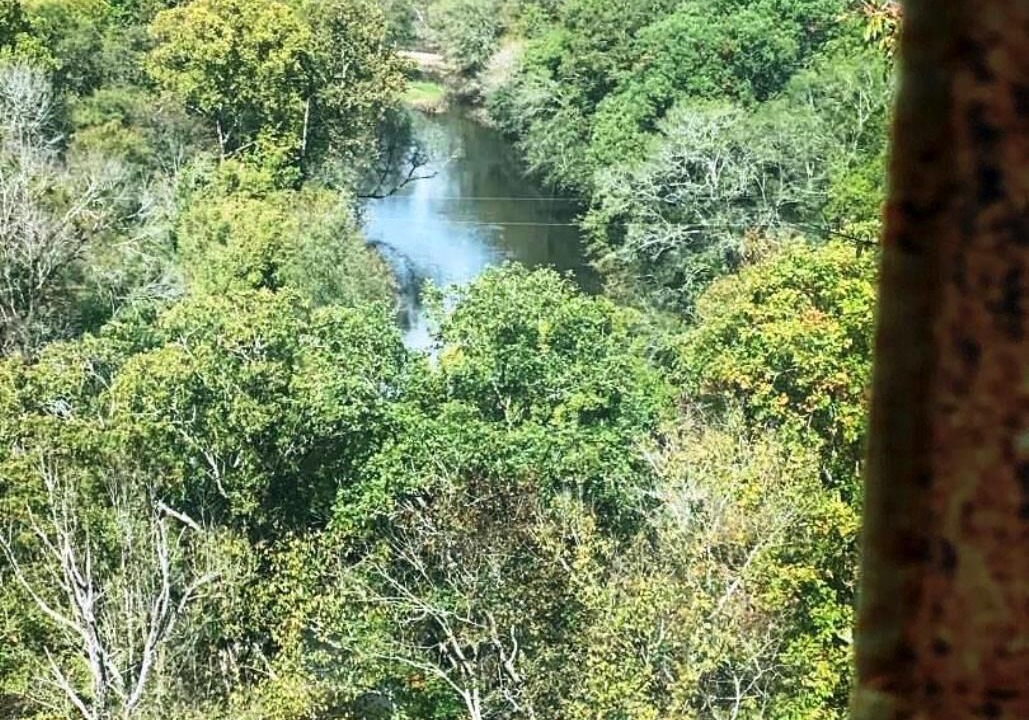 Photo of Others in Gillham