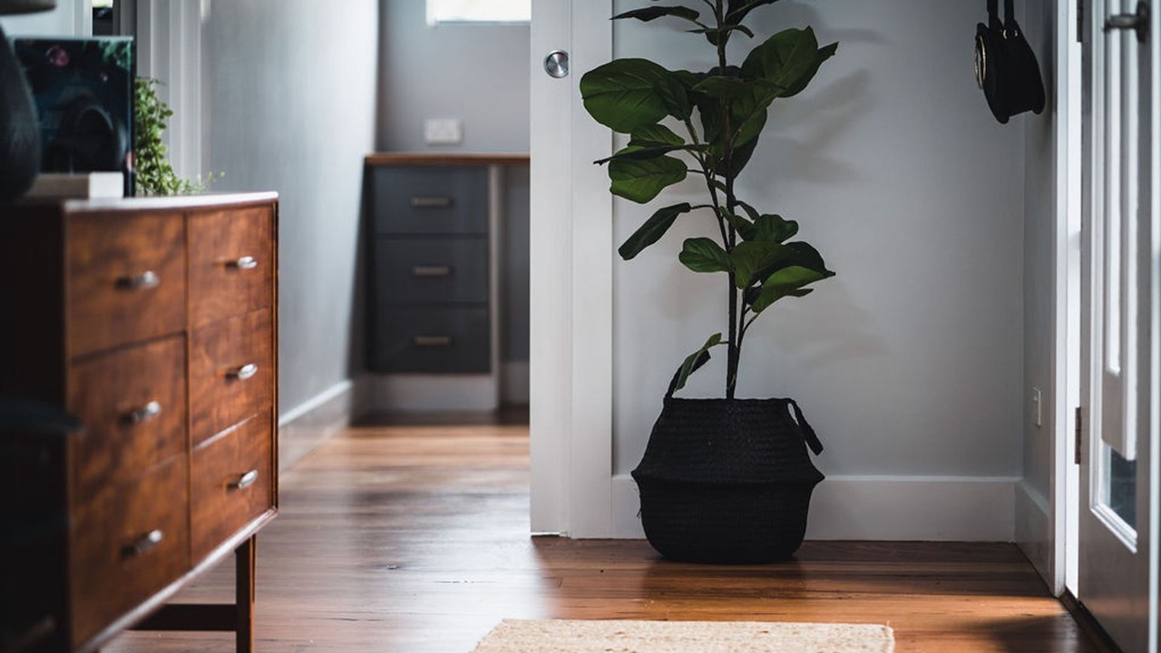 Photo of Others in Daylesford