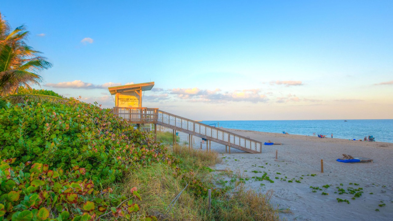 Photo of Others in Ocean Ridge