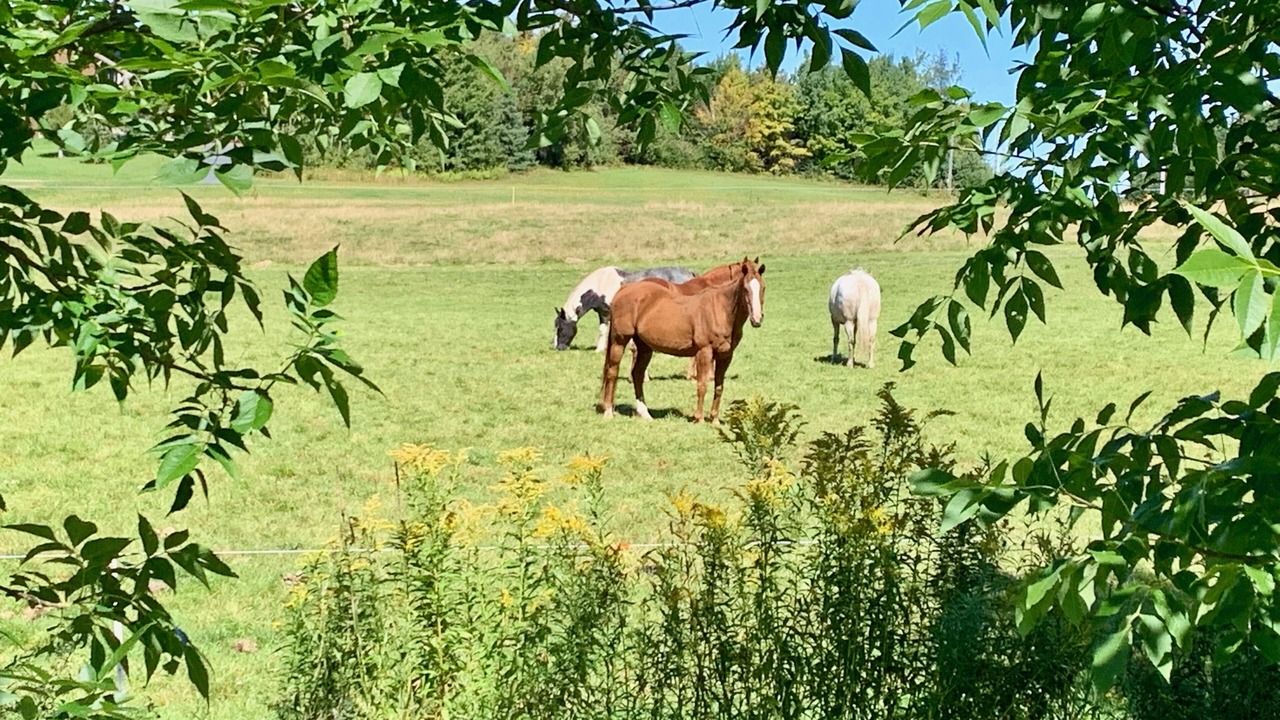 Photo of Outdoor in Marston