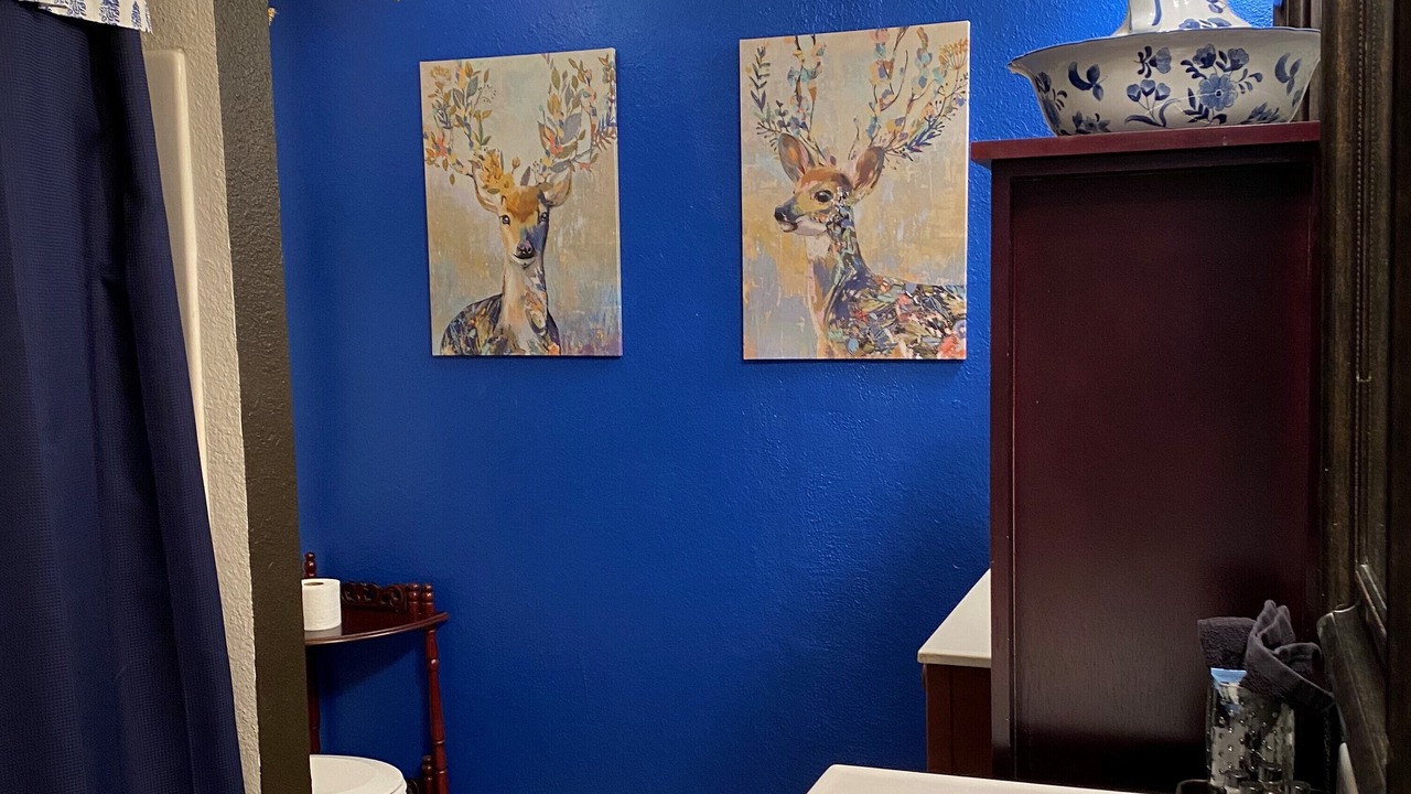 Photo of Bathroom in San Saba