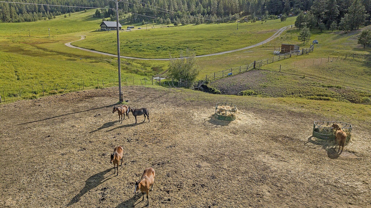 Photo of Others in Oroville