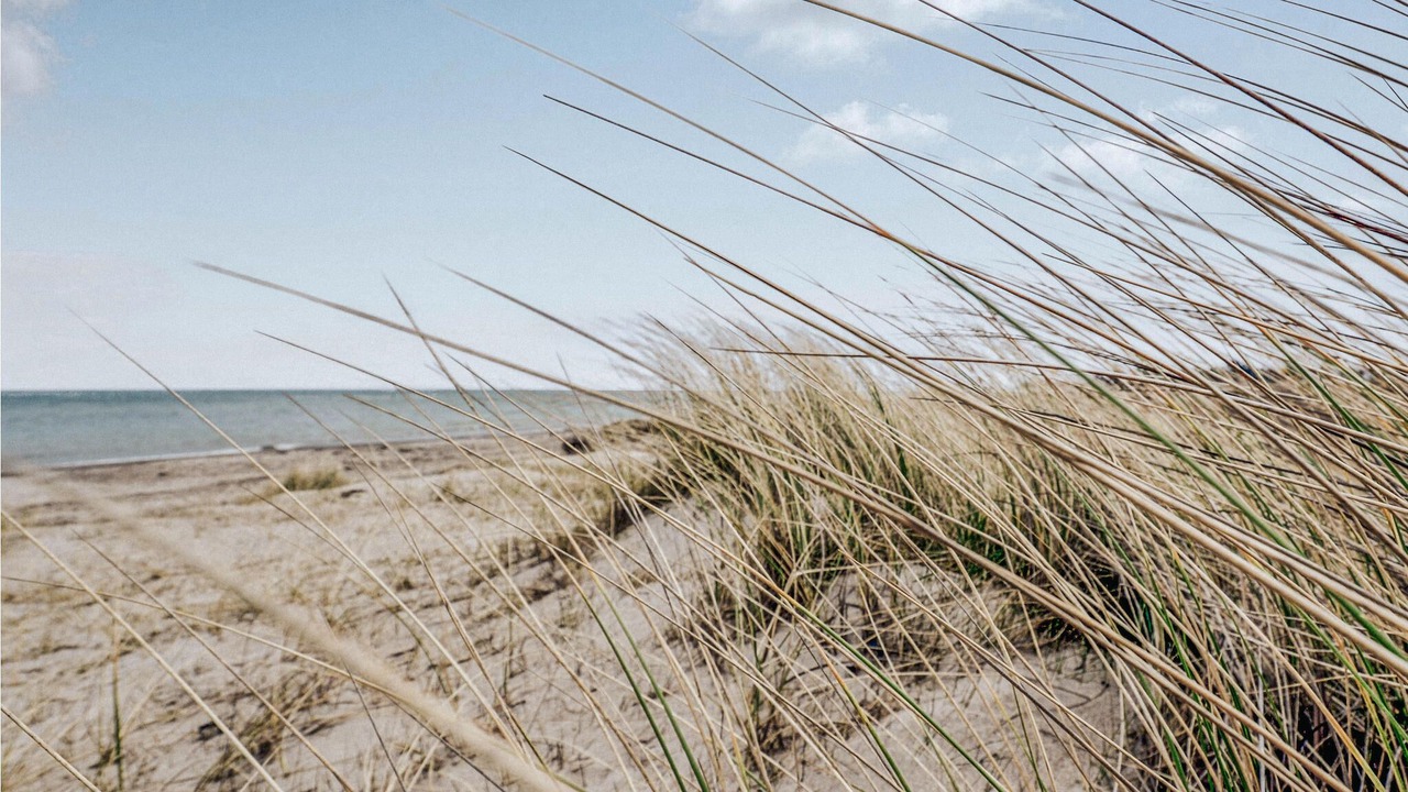 Photo of Others in Grenaa
