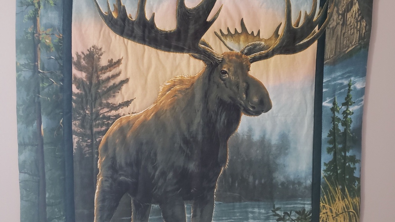 Photo of Others in South Aroostook
