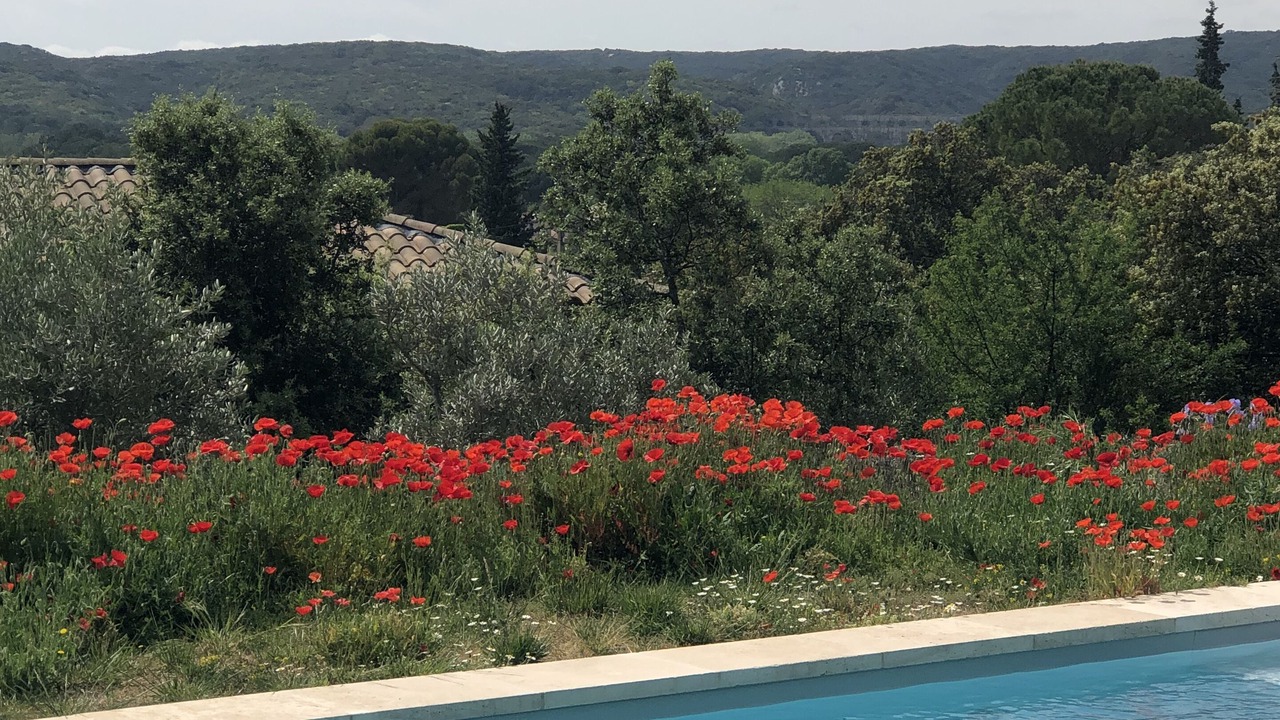 Photo of Outdoor in Castillon-du-Gard