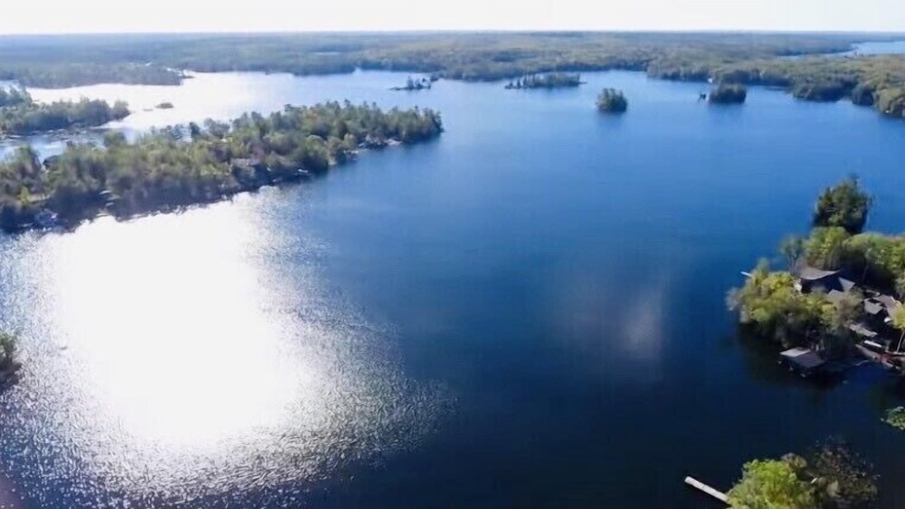 Photo of Others in Trent Lakes