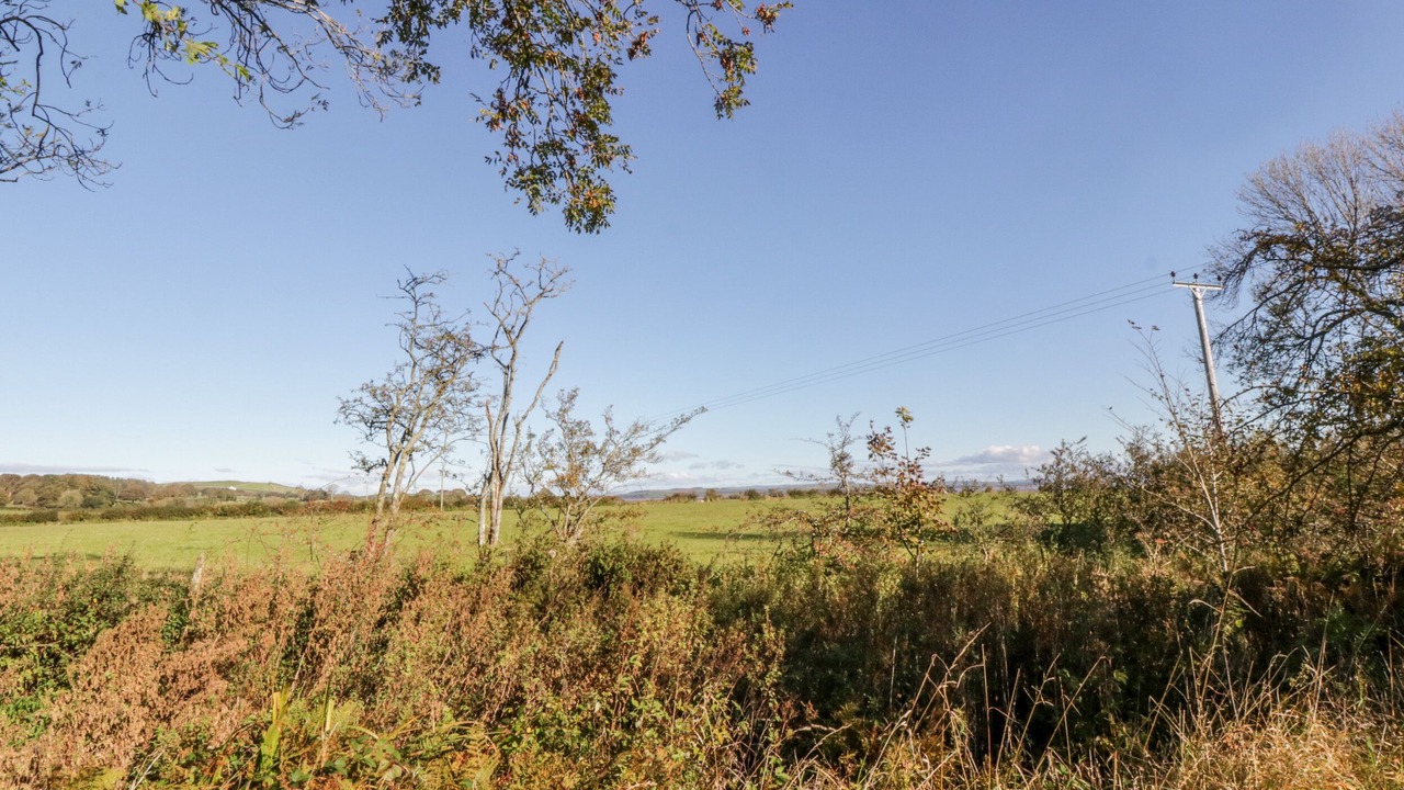 Photo of Outdoor in Bankend