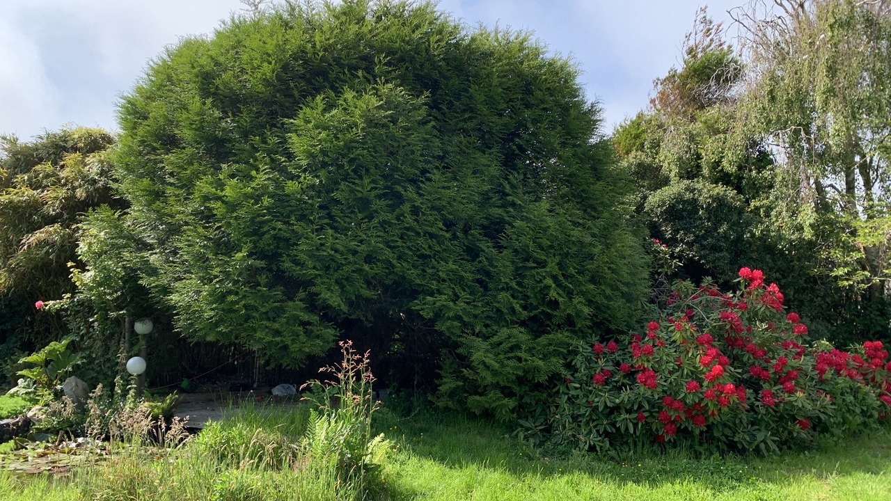 Photo of Outdoor in Saint-Martin-aux-Buneaux