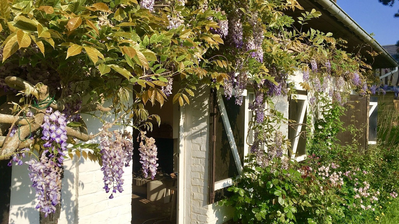 Photo of Outdoor in Saint-Martin-aux-Buneaux