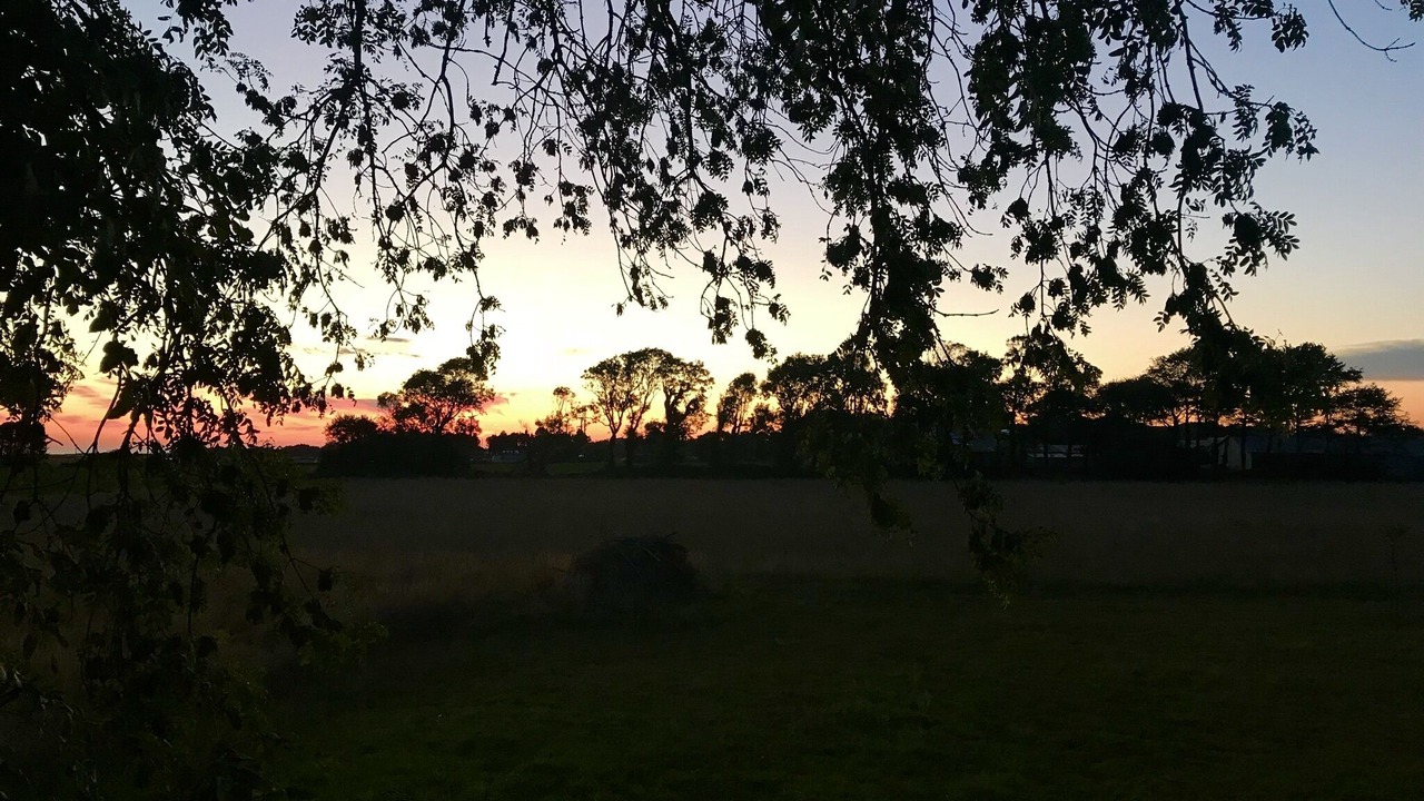 Photo of Outdoor in Saint-Martin-aux-Buneaux