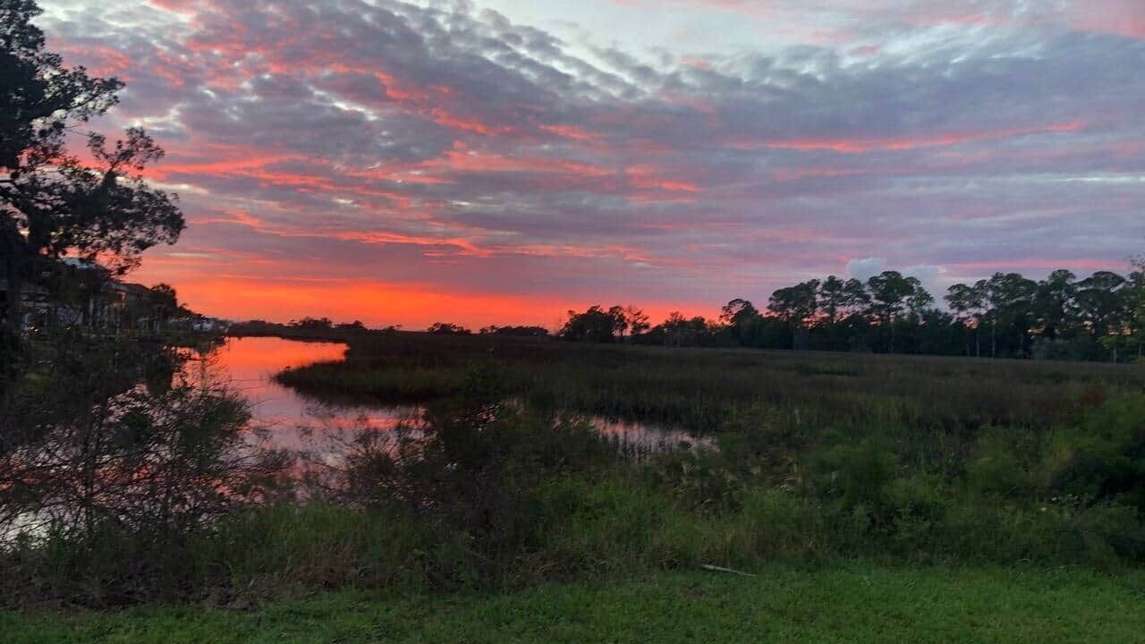 Photo of Others in Dixie Shores