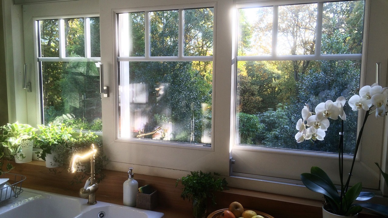 Photo of Others in Sainte-Marguerite-sur-Mer