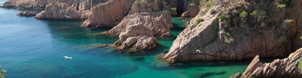 Photo of Others in Sant Feliu de Guixols