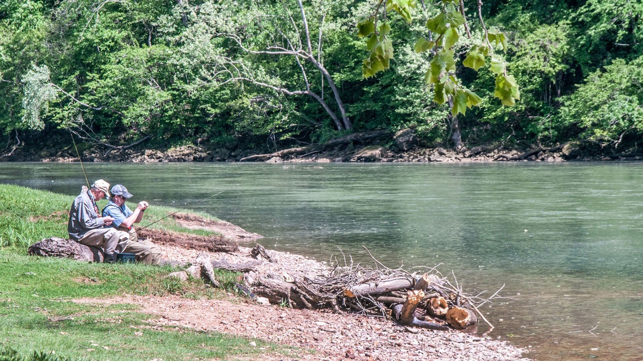 Photo of Others in Table Rock