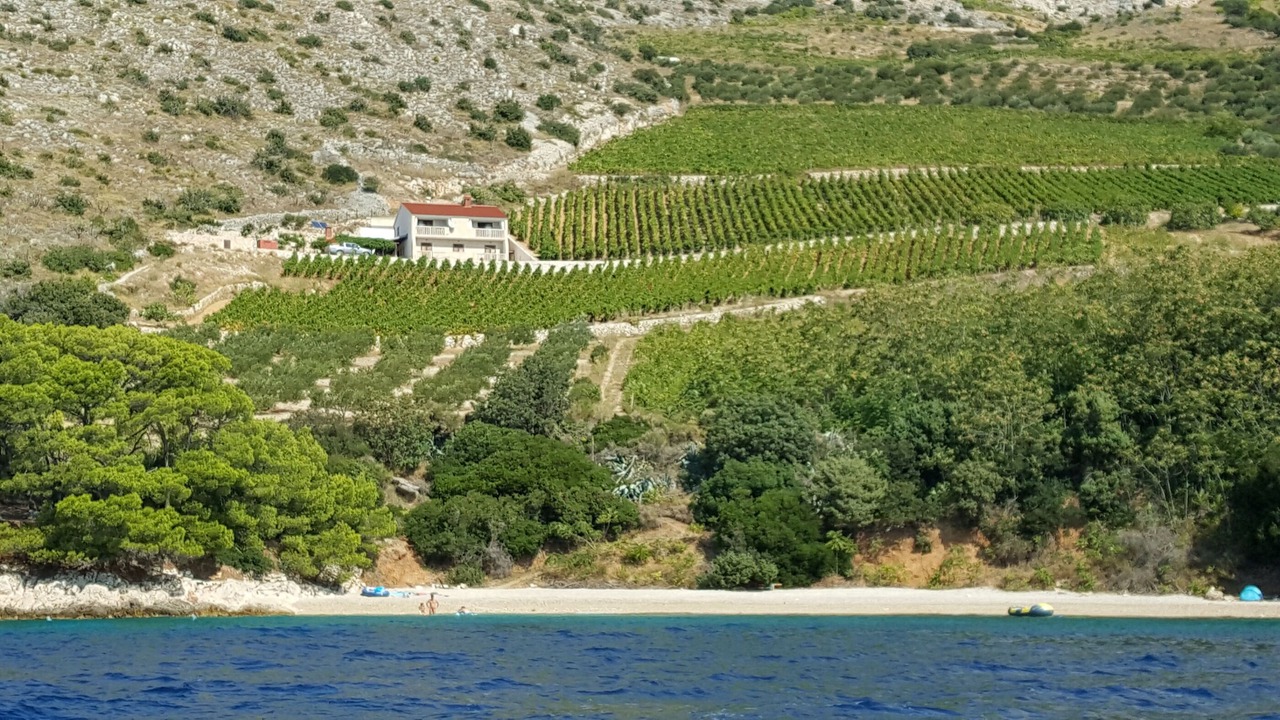 Photo of Others in Nerezise