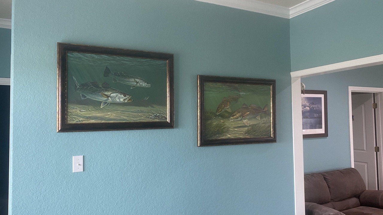 Photo of Others in Matagorda