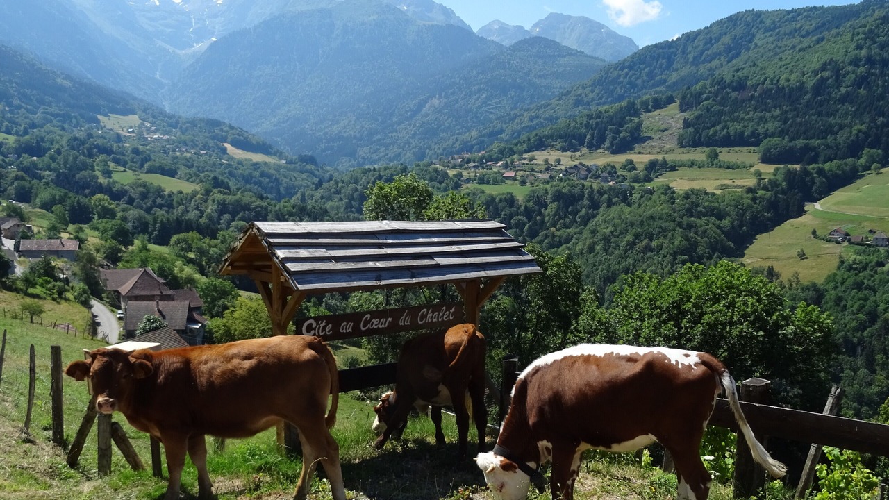 Photo of Outdoor in Sainte-Agnes