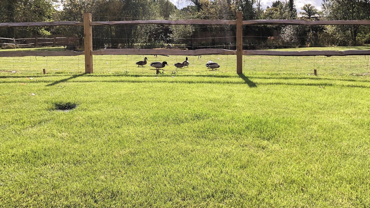 Photo of Others in Barns Green