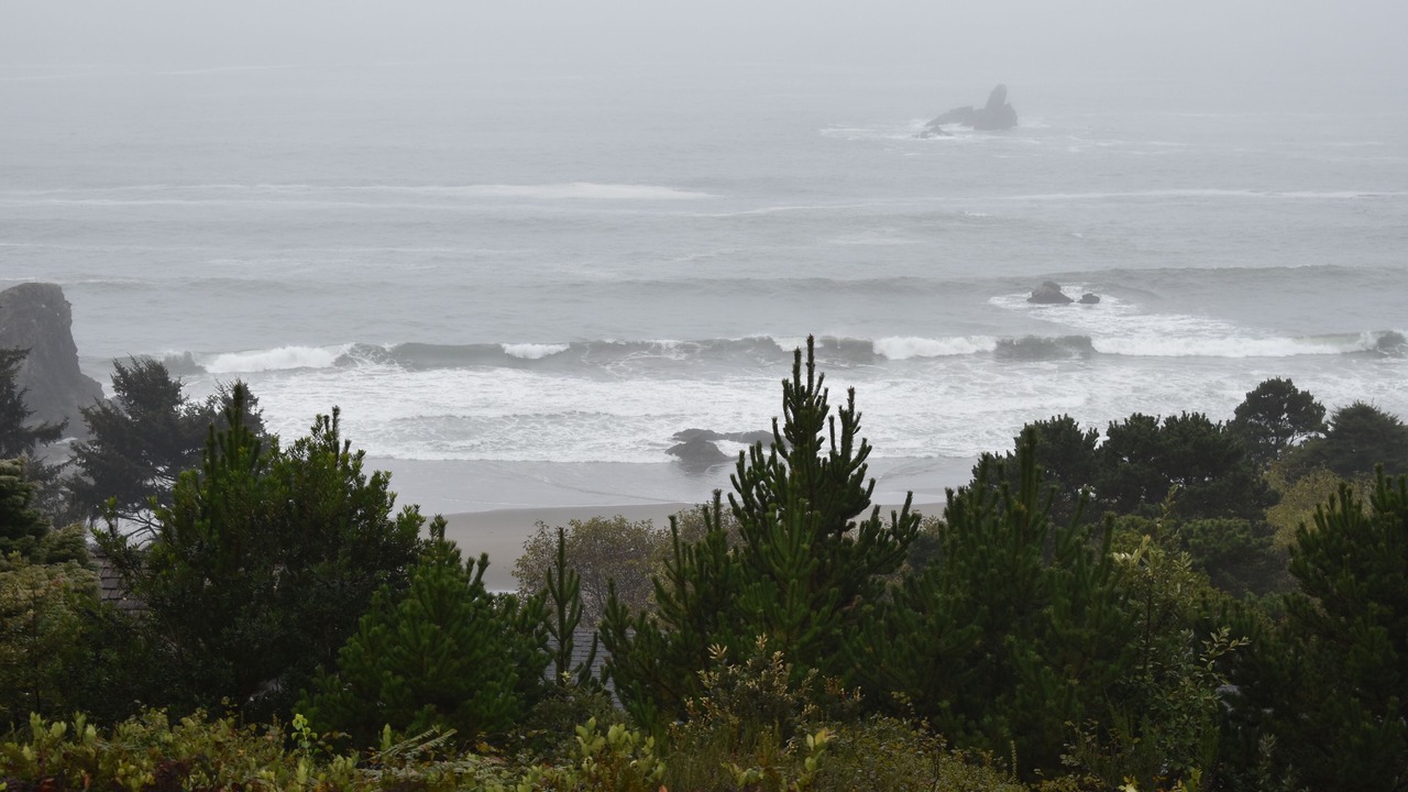 Photo of Others in Brookings