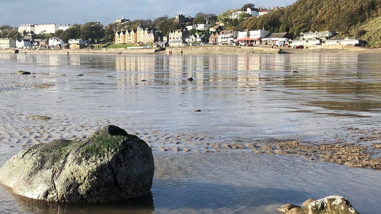 Photo of Others in Muston